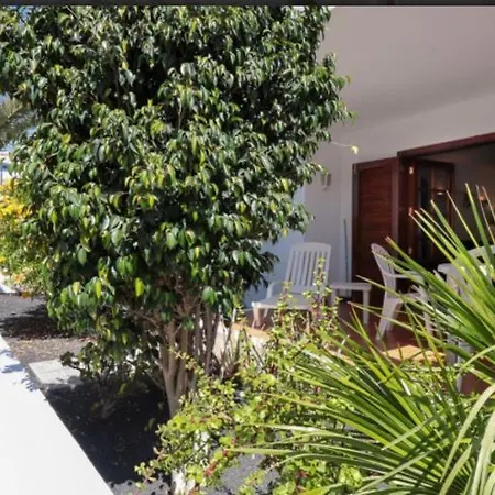 Hogar Palmera With Pool & Daire *